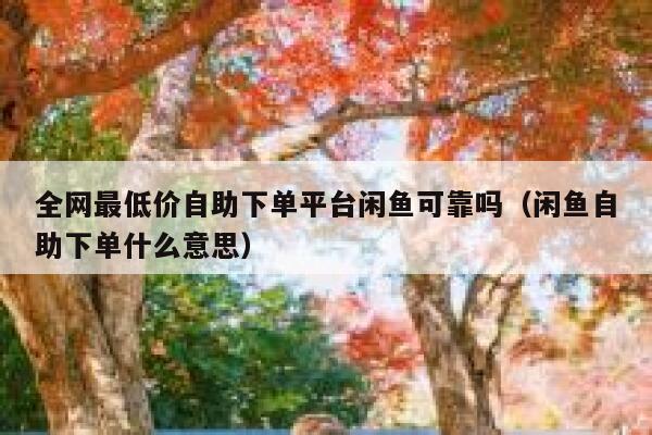 全网最低价自助下单平台闲鱼可靠吗（闲鱼自助下单什么意思） 第1张