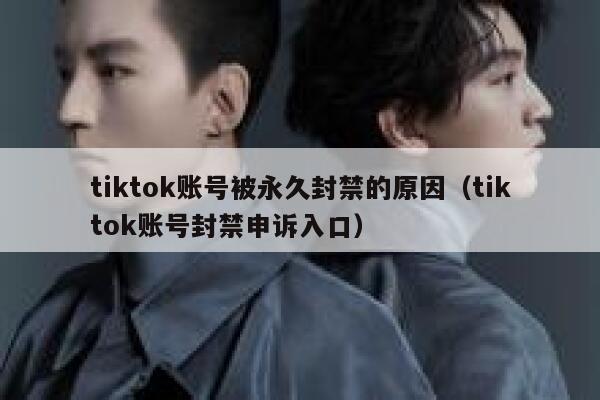 tiktok账号被永久封禁的原因（tiktok账号封禁申诉入口） 第1张