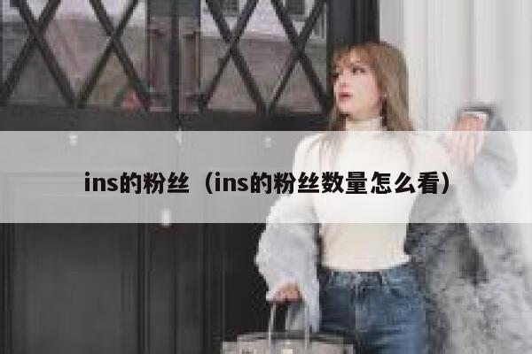 ins的粉丝（ins的粉丝数量怎么看） 第1张