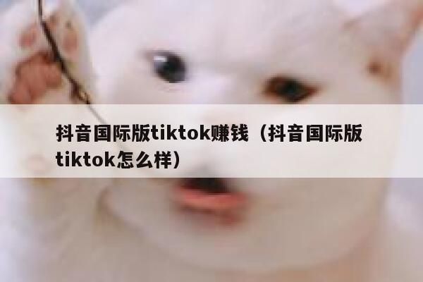 抖音国际版tiktok赚钱（抖音国际版 tiktok怎么样） 第1张