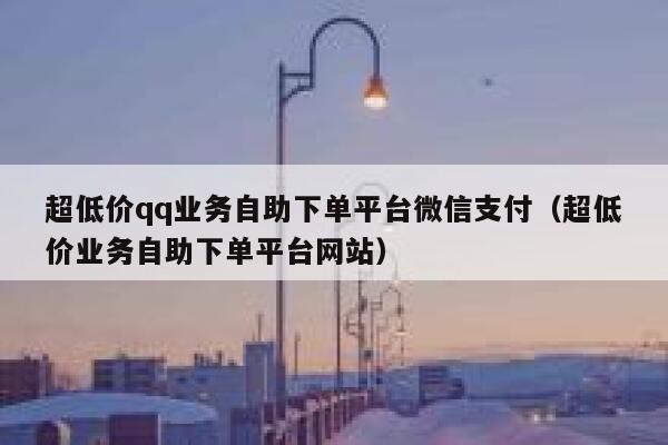 超低价qq业务自助下单平台微信支付（超低价业务自助下单平台网站） 第1张
