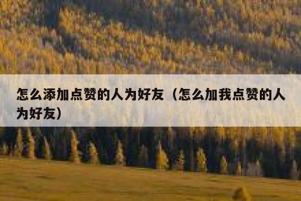 怎么添加点赞的人为好友（怎么加我点赞的人为好友） 第1张
