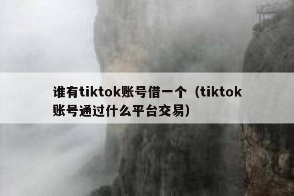 谁有tiktok账号借一个（tiktok账号通过什么平台交易） 第1张