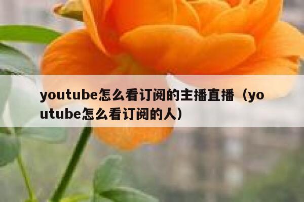 youtube怎么看订阅的主播直播（youtube怎么看订阅的人） 第1张