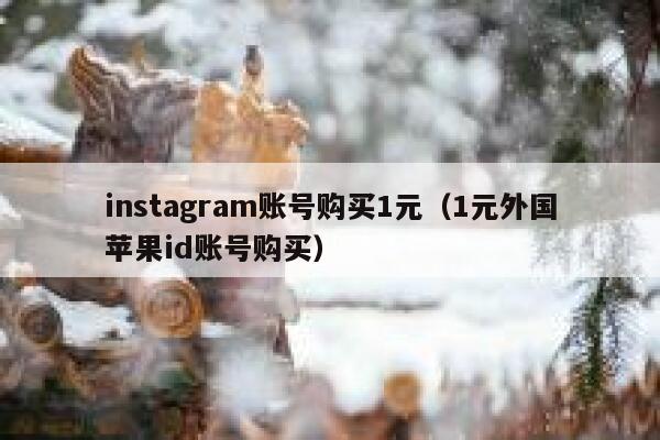 instagram账号购买1元（1元外国苹果id账号购买） 第1张