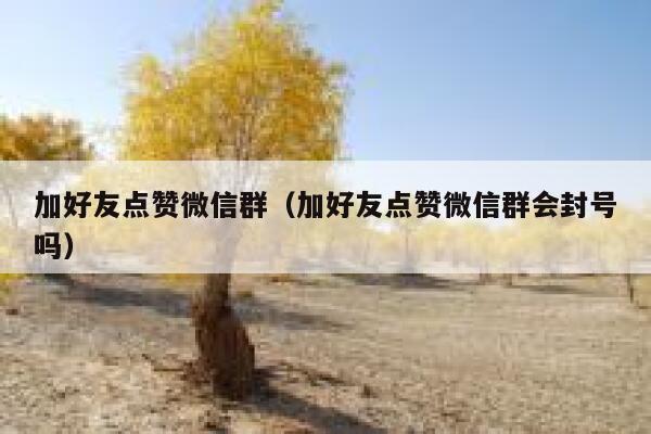 加好友点赞微信群（加好友点赞微信群会封号吗） 第1张