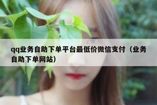qq业务自助下单平台最低价微信支付（业务自助下单网站） 第1张