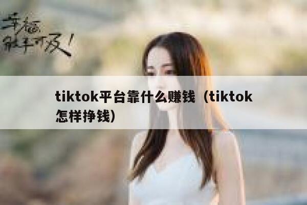 tiktok平台靠什么赚钱（tiktok怎样挣钱） 第1张