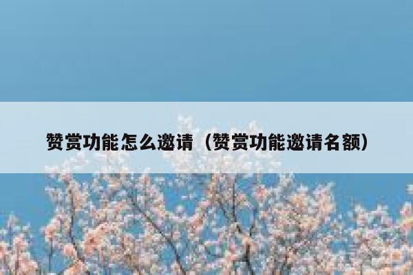 赞赏功能怎么邀请（赞赏功能邀请名额） 第1张