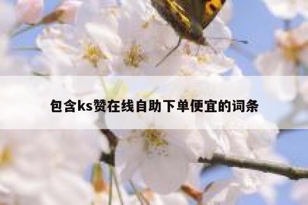 包含ks赞在线自助下单便宜的词条 第1张