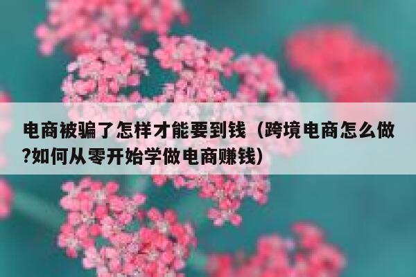 电商被骗了怎样才能要到钱（跨境电商怎么做?如何从零开始学做电商赚钱） 第1张