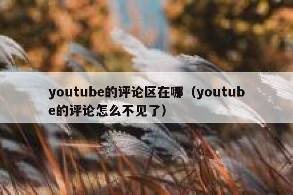 youtube的评论区在哪（youtube的评论怎么不见了） 第1张