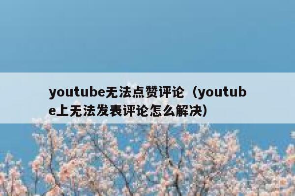 youtube无法点赞评论（youtube上无法发表评论怎么解决） 第1张