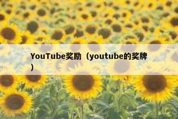 YouTube奖励（youtube的奖牌） 第1张