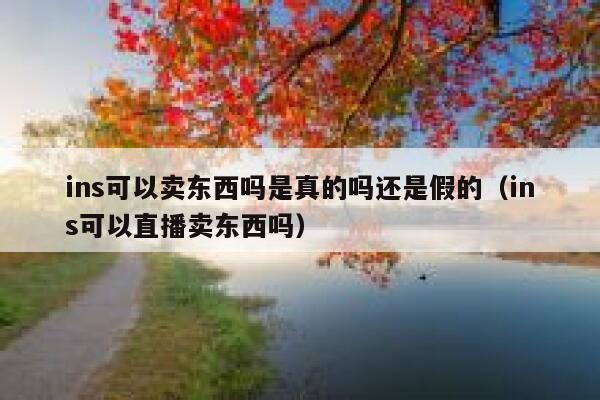 ins可以卖东西吗是真的吗还是假的（ins可以直播卖东西吗） 第1张