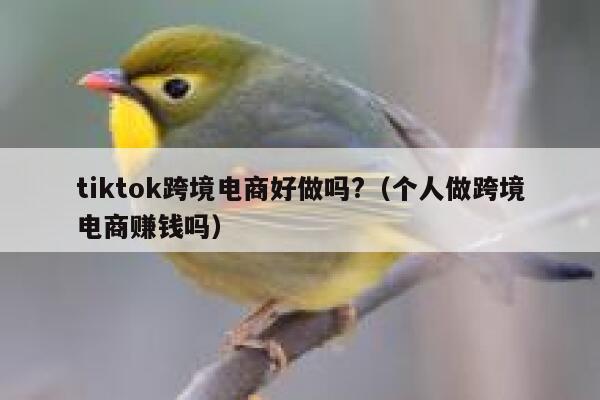 tiktok跨境电商好做吗?（个人做跨境电商赚钱吗） 第1张
