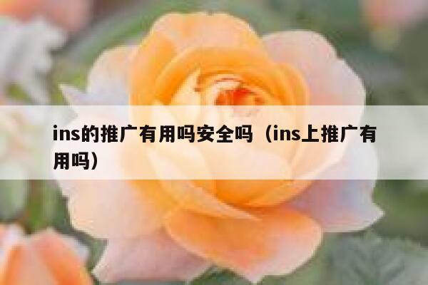 ins的推广有用吗安全吗（ins上推广有用吗） 第1张