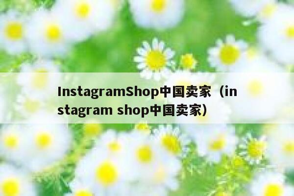 InstagramShop中国卖家（instagram shop中国卖家） 第1张