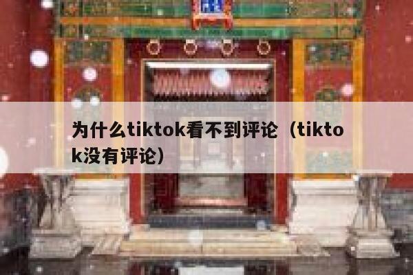 为什么tiktok看不到评论（tiktok没有评论） 第1张