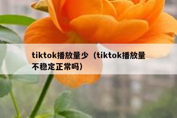 tiktok播放量少（tiktok播放量不稳定正常吗） 第1张