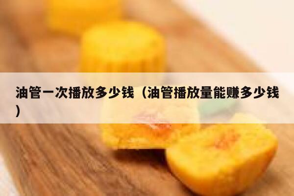 油管一次播放多少钱（油管播放量能赚多少钱） 第1张