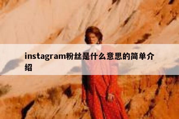 instagram粉丝是什么意思的简单介绍 第1张