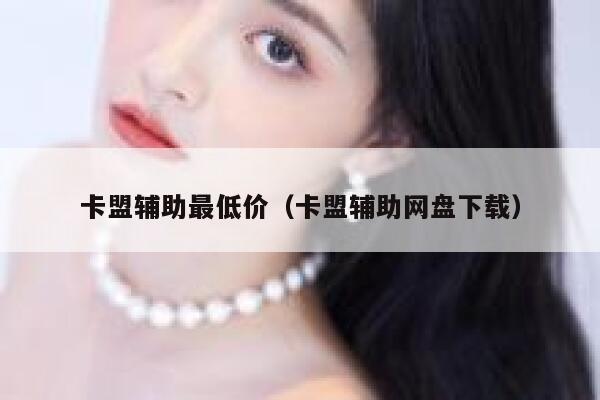 卡盟辅助最低价（卡盟辅助网盘下载） 第1张