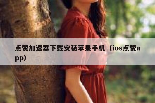 点赞加速器下载安装苹果手机（ios点赞app） 第1张