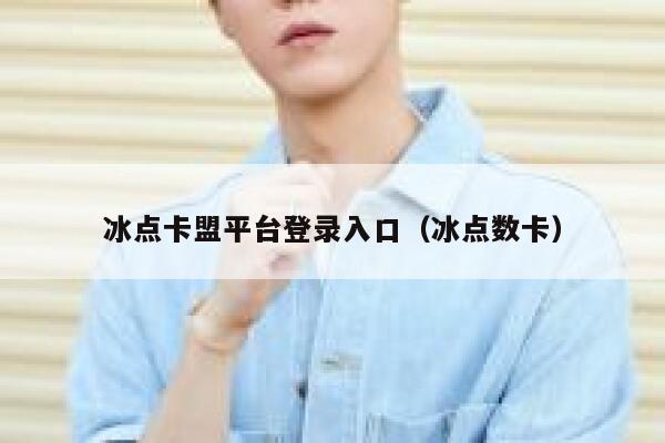 冰点卡盟平台登录入口（冰点数卡） 第1张