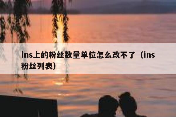 ins上的粉丝数量单位怎么改不了（ins粉丝列表） 第1张