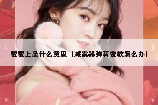 赞赞上条什么意思（减震器弹簧变软怎么办） 第1张