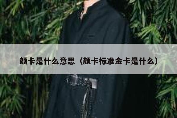 颜卡是什么意思（颜卡标准金卡是什么） 第1张