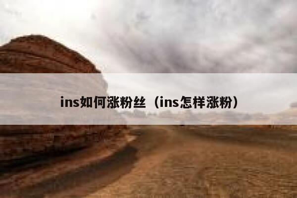 ins如何涨粉丝（ins怎样涨粉） 第1张