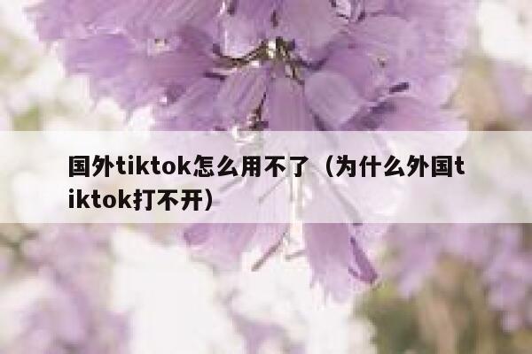 国外tiktok怎么用不了（为什么外国tiktok打不开） 第1张