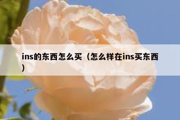 ins的东西怎么买（怎么样在ins买东西） 第1张