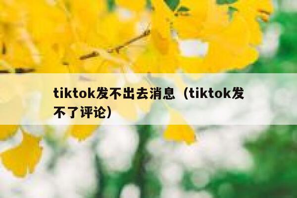 tiktok发不出去消息（tiktok发不了评论） 第1张