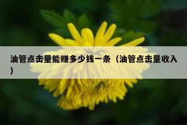 油管点击量能赚多少钱一条（油管点击量收入） 第1张