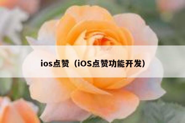 ios点赞（iOS点赞功能开发） 第1张