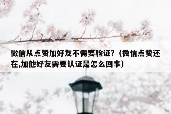 微信从点赞加好友不需要验证?（微信点赞还在,加他好友需要认证是怎么回事） 第1张