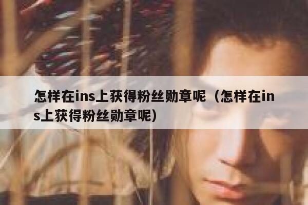 怎样在ins上获得粉丝勋章呢（怎样在ins上获得粉丝勋章呢） 第1张