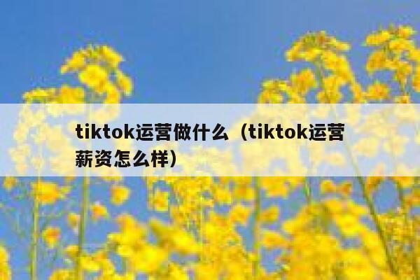 tiktok运营做什么（tiktok运营薪资怎么样） 第1张