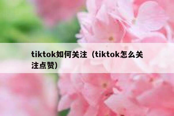 tiktok如何关注（tiktok怎么关注点赞） 第1张