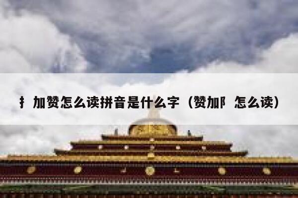 扌加赞怎么读拼音是什么字（赞加阝怎么读） 第1张