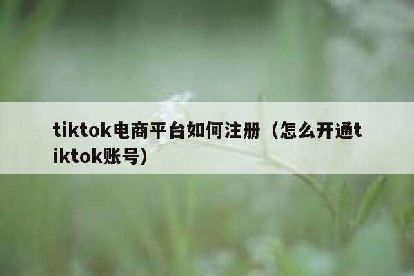 tiktok电商平台如何注册（怎么开通tiktok账号） 第1张