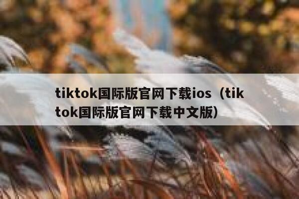 tiktok国际版官网下载ios（tiktok国际版官网下载中文版） 第1张