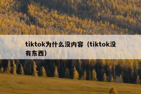 tiktok为什么没内容（tiktok没有东西） 第1张