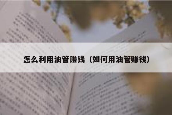 怎么利用油管赚钱（如何用油管赚钱） 第1张