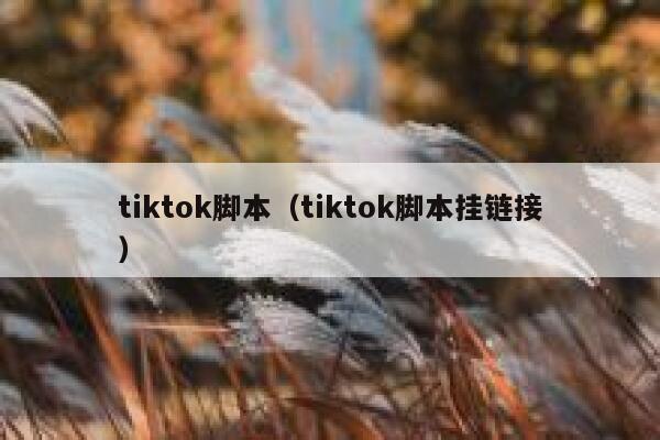 tiktok脚本（tiktok脚本挂链接） 第1张