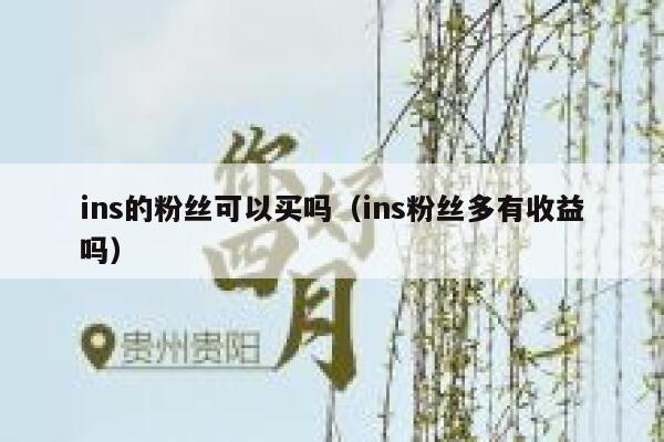 ins的粉丝可以买吗（ins粉丝多有收益吗） 第1张