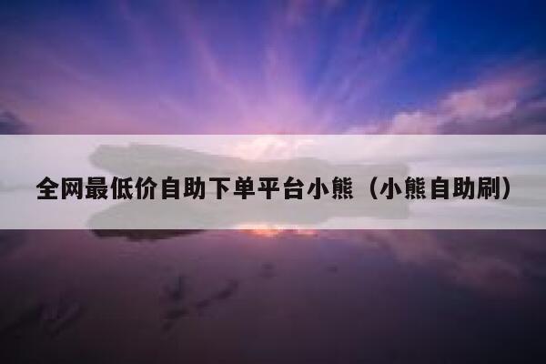 全网最低价自助下单平台小熊（小熊自助刷） 第1张